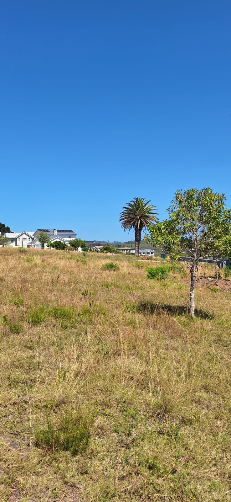 0 Bedroom Property for Sale in Baron View Western Cape